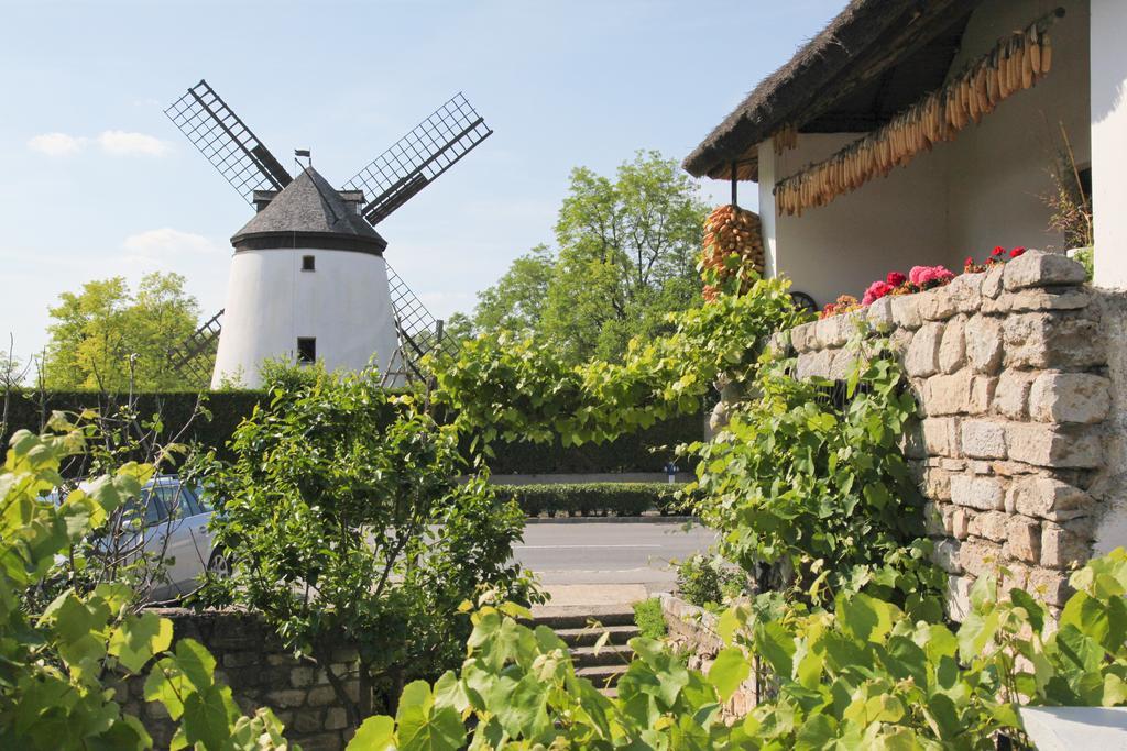 Ferienwohnung Bio Archehof - Zur Grube Podersdorf am See Exterior foto